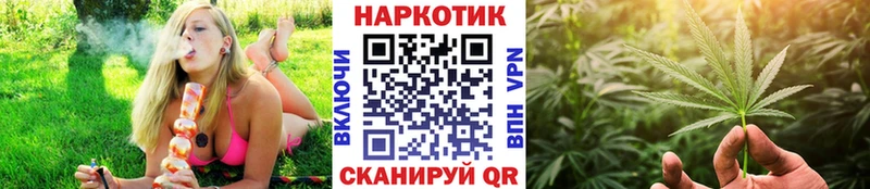 LSD-25 Пестово