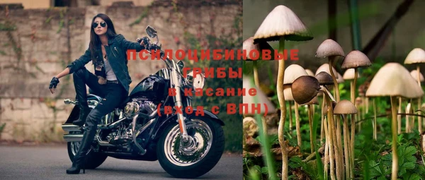 прущий лед Дмитров