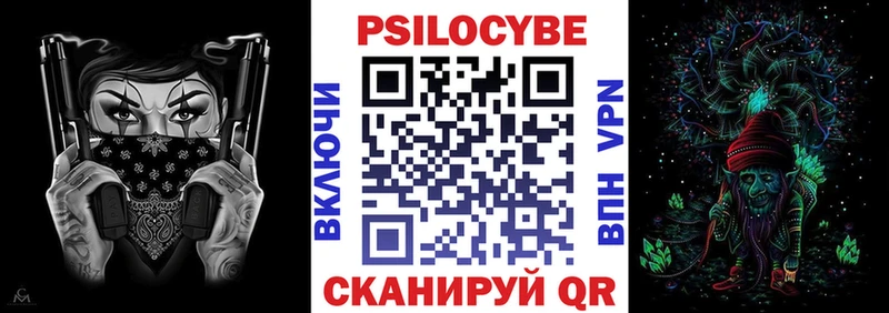 блэк спрут как войти хочу Пестово Галлюциногенные грибы Magic Shrooms
